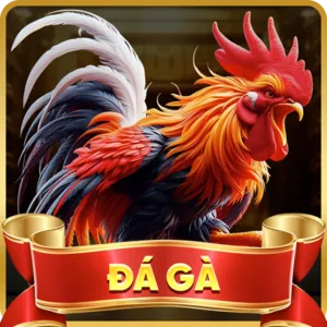 Biểu tượng đa dạng trò chơi, bao gồm bóng đá, máy đánh bạc và bàn casino, thể hiện kho game phong phú của 98win App Android.